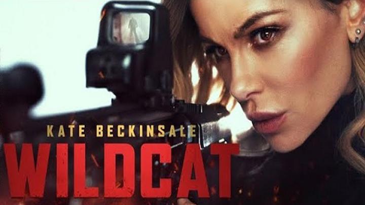 مشاهدة فيلم Wildcat 2025 مترجم